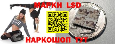 гидропоника Краснознаменск