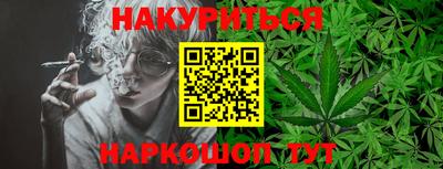 гидропоника Краснознаменск