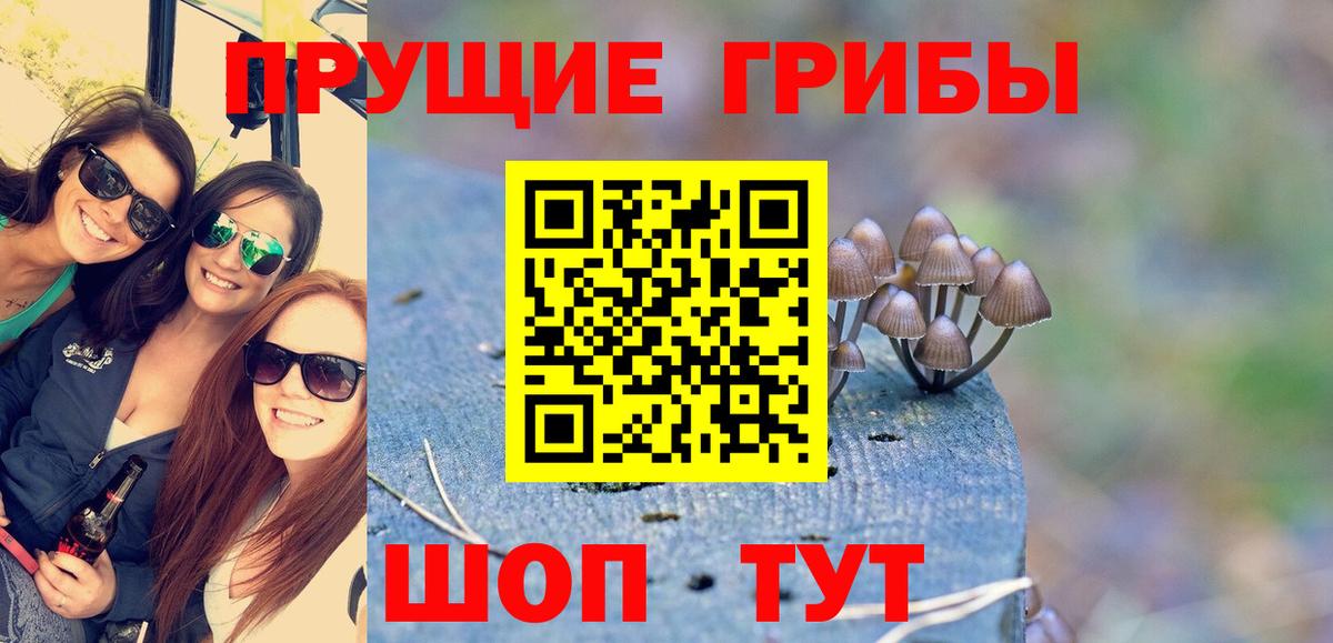 цены наркотик  Вход с VPN  Бирск  Псилоцибиновые грибы GOLDEN TEACHER 